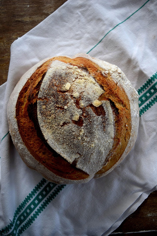 Beginning Sourdough--Rustic Loaf (10/14)